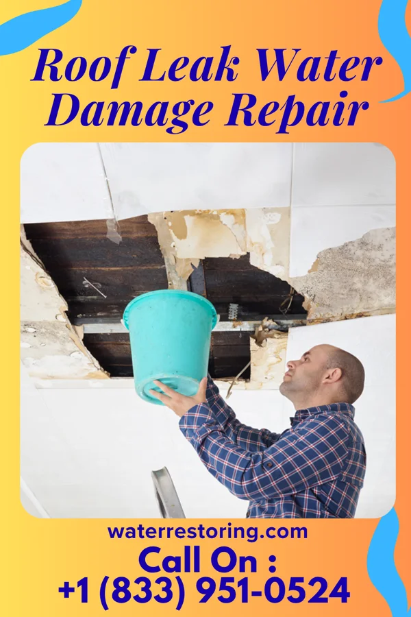 Roof Leak Water Damage Repair in Grayling, MI